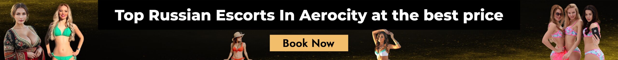 Top Russian Escort In Aerocity at the best price